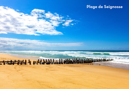 Playa de Seignosse con rompeolas de madera, lugar para visitar en Las Landas.