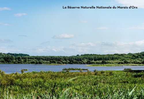Reserva Natural Nacional del Marais d'Orx, un lugar para visitar cerca de Labenne-Océan.