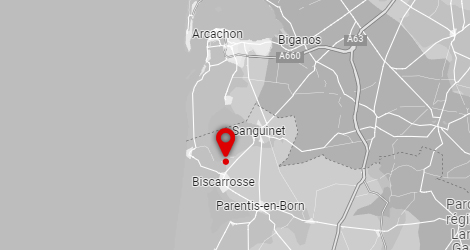 carte Camping bimbo