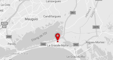 carte Camping or