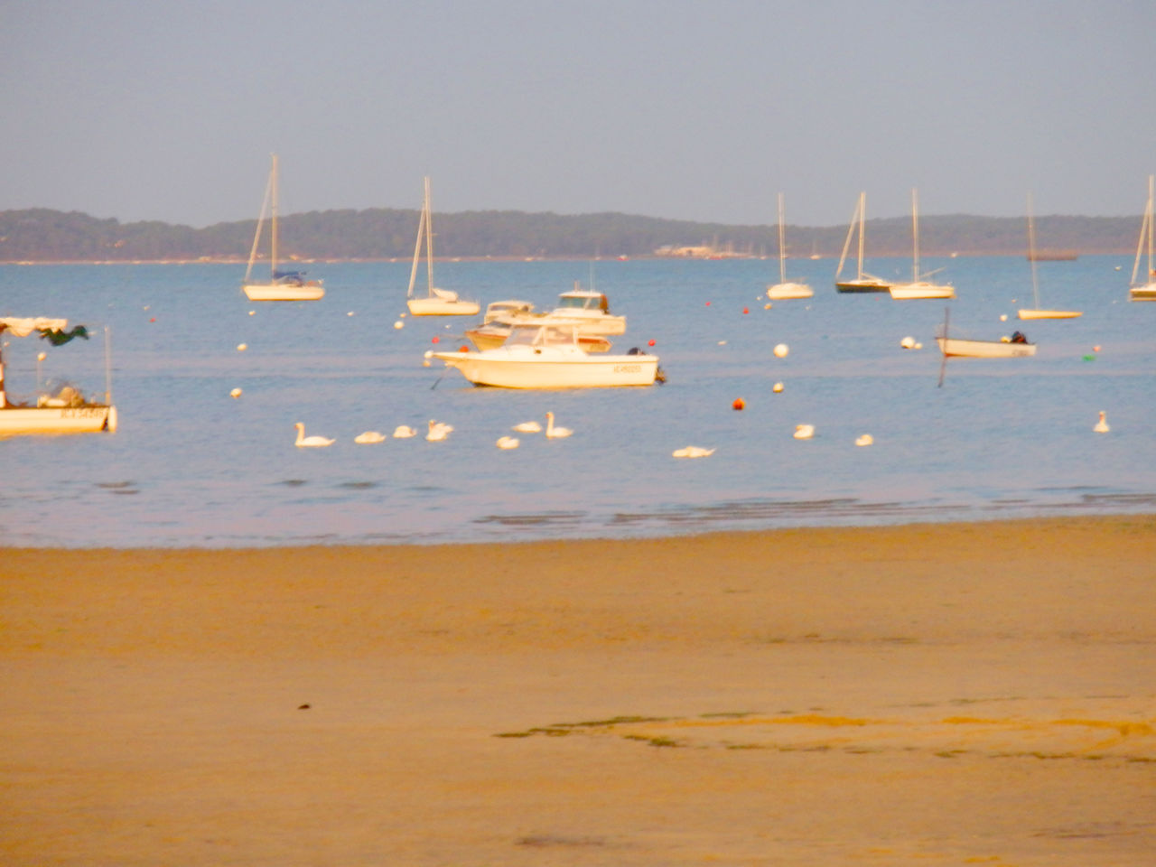 Playa de arena, barcos y cisnes en el camping CAPFUN Andernos Les Bains.