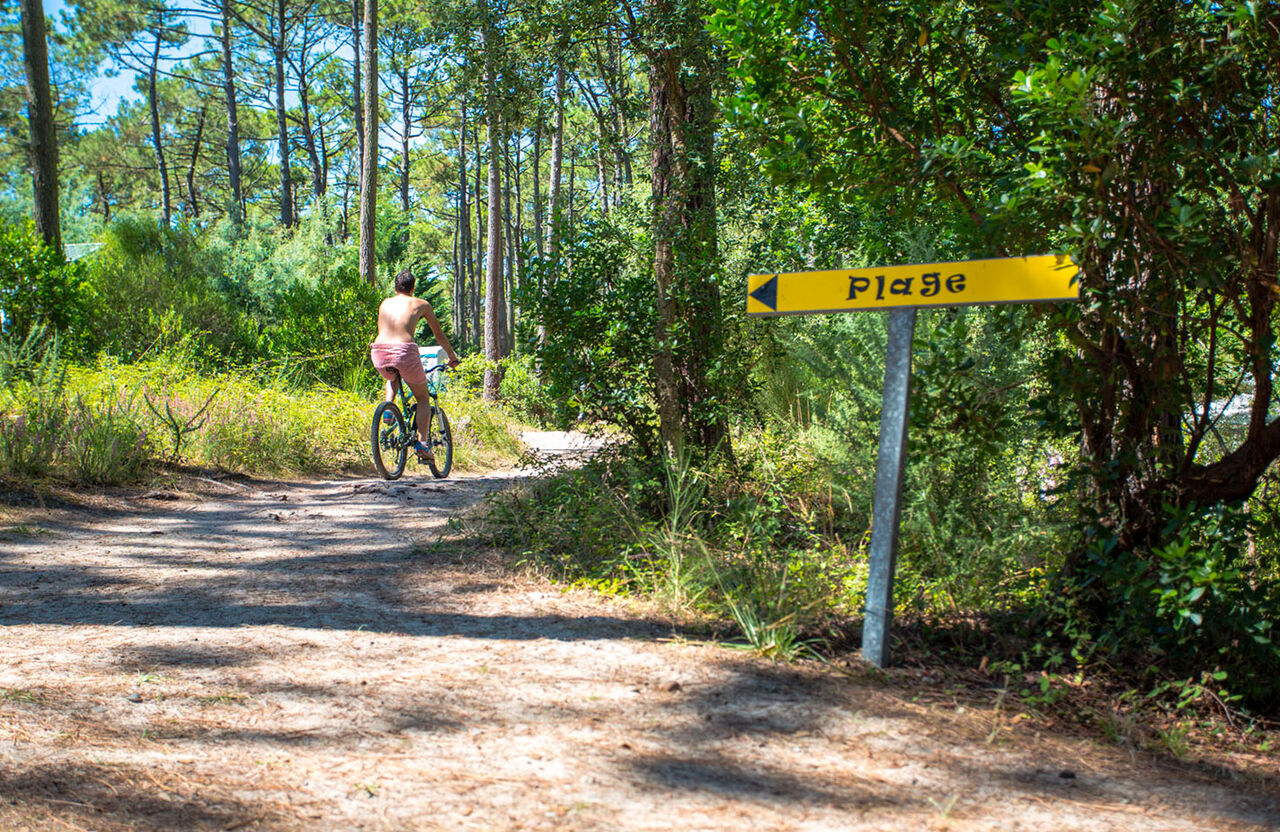 Ciclista naturista en sendero forestal hacia la playa en el camping LIBRANOO Naturiste Arnaoutchot en Veille-Saint-Girons, Landes, Francia.