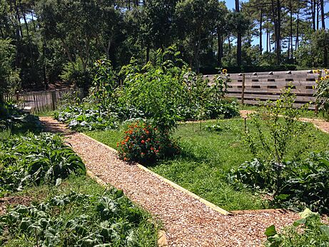 Huerto con sendero de virutas en camping LIBRANOO Naturiste Arnaoutchot.