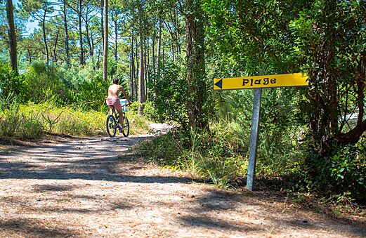 Ciclista en camino forestal hacia la playa en el camping LIBRANOO Naturiste Arnaoutchot.