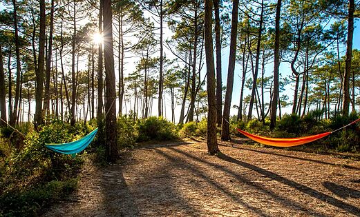 Hamacas coloridas en bosque de pinos en el camping LIBRANOO Naturiste Arnaoutchot en Veille-Saint-Girons, Landas, Francia.