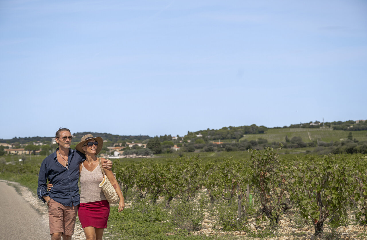 Pareja paseando por vi�edos, paisaje soleado en el camping CLICOCHIC Art de Vivre en Ch�teauneuf du Pape.