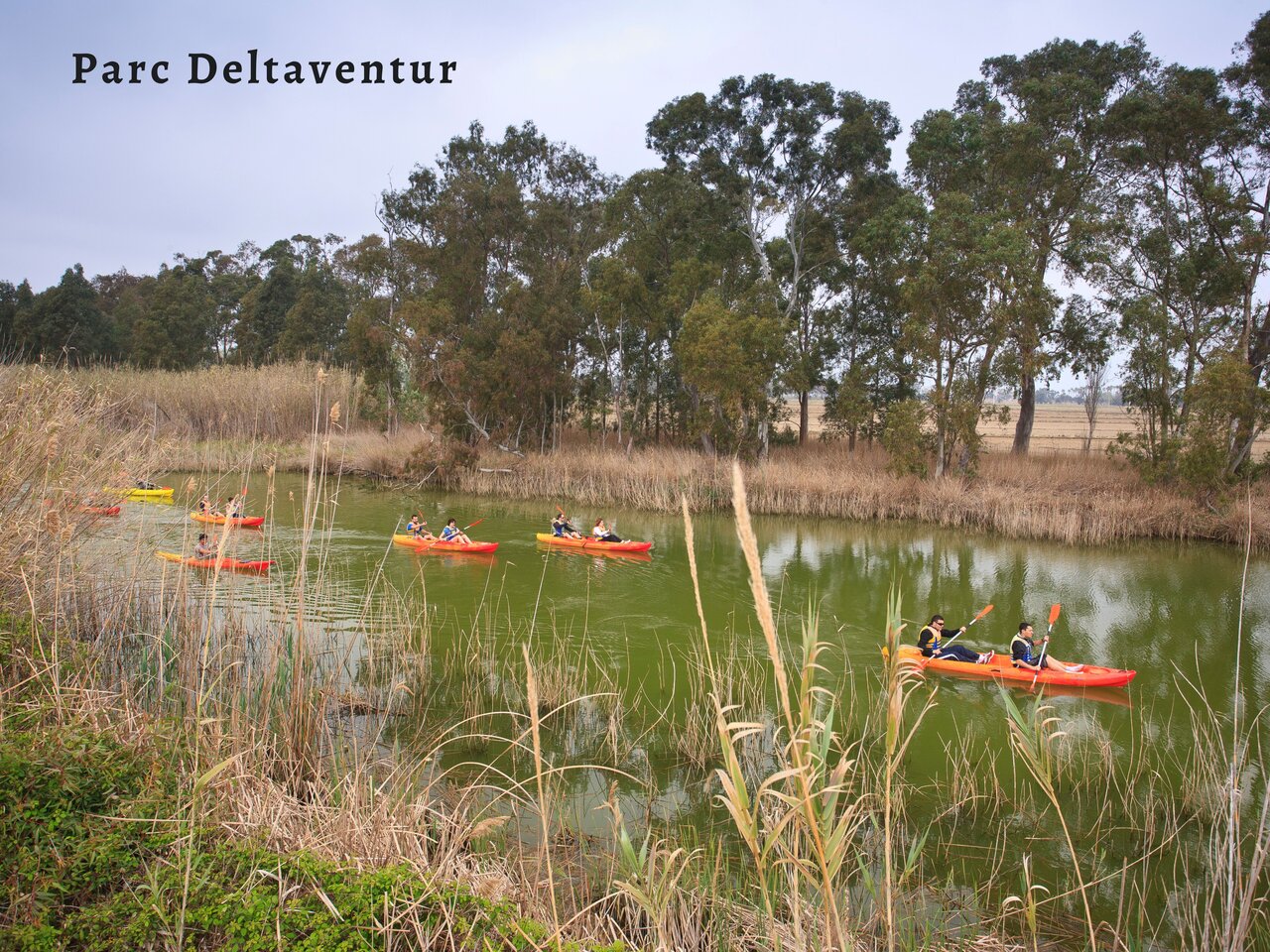 Kayak en el canal del Parc Deltaventur, actividad cerca de Deltebre, Tarragona.