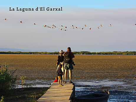 Familia observando flamencos en la Laguna d'El Garxal, Delta del Ebro.