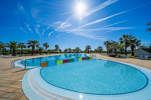 Piscina exterior con dos vasos y palmeras en el camping CAPFUN Aube en Deltebre, Tarragona.