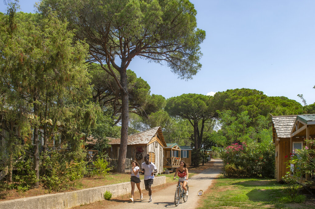 Les Aubrdes, Camping Provence-Alpes-Cte d'Azur - 4