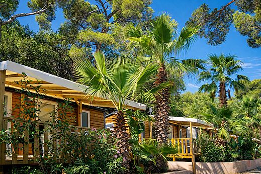 Mobil-homes, terrazas sombreadas, palmeras en camping CLICOCHIC Baie de Cavalaire (83).