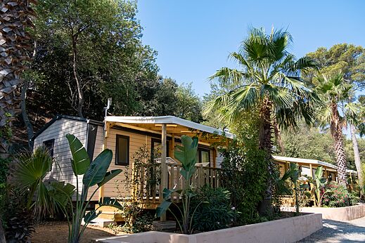 Mobil-homes con terrazas y palmeras en el camping CLICOCHIC Baie de Cavalaire (83).