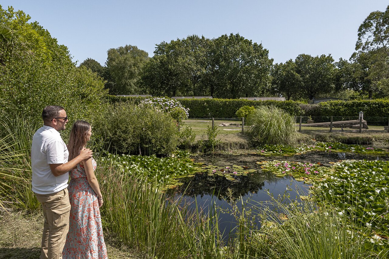 Estanque natural, nen�fares, pareja en camping CLICOCHIC Baie de Douarnenez en Poullan-sur-Mer.