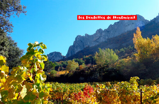 Las Dentelles de Montmirail y vi�edos en oto�o, cerca de MORNAS.