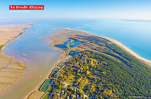 Punta de Arçay, playa salvaje, bosque y estuario cerca de Aiguillon-sur-Mer, Vandea.
