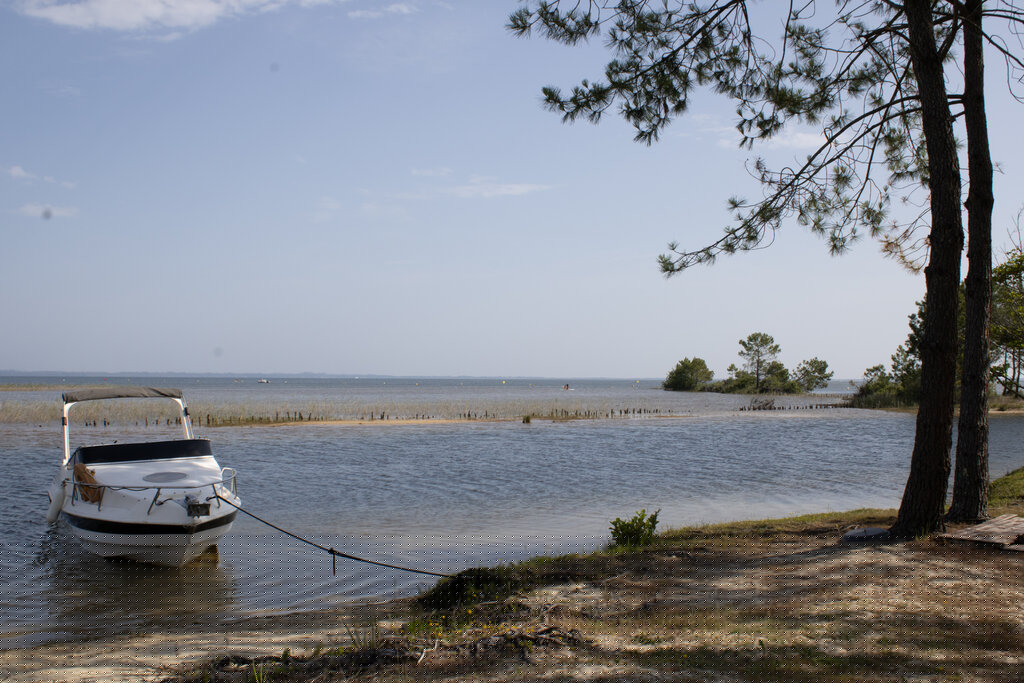 Bimbo, Camping Aquitania - 26