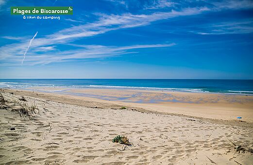 Extensa playa de arena fina de las Playas de Biscarrosse, océano Atlántico.