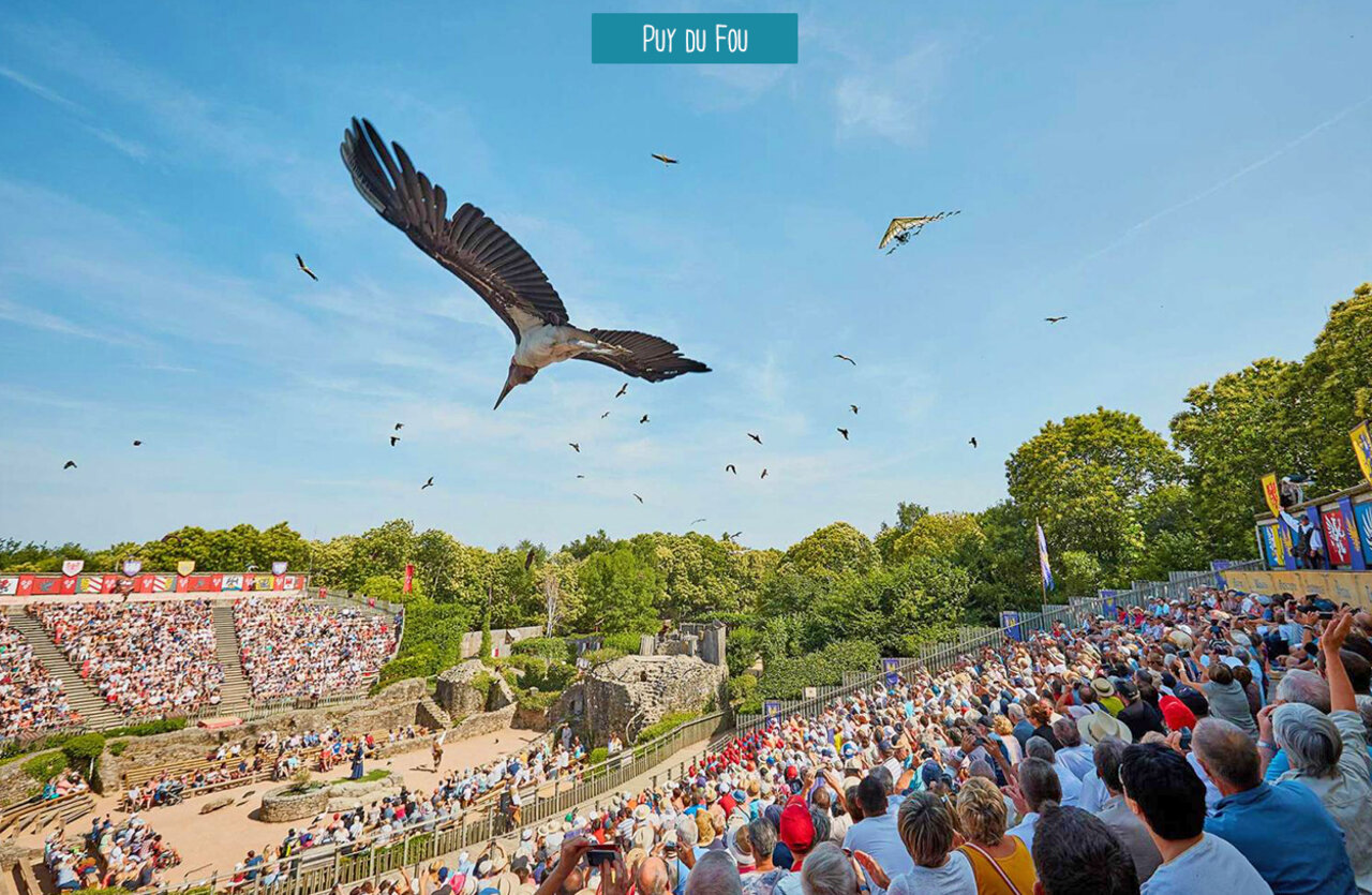 Espect�culo de aves rapaces en vuelo en el parque Puy du Fou en Vend�e.