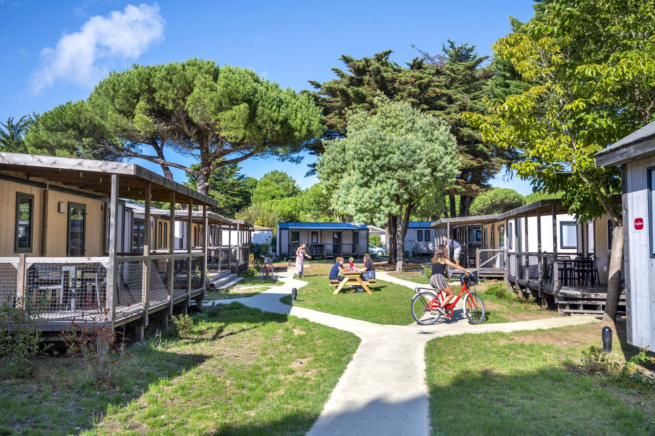 Casas m�viles, senderos y bicicleta en el camping CAPFUN Bonne Etoile en BOIS PLAGE EN RE (17).