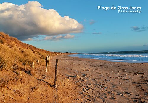 Playa de Gros Joncs, arena y dunas en Bois-Plage-en-Ré.