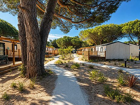 Mobil-homes modernos con terrazas de madera y senderos de arena en el camping CAPFUN Bonne Etoile en BOIS PLAGE EN RE (17).