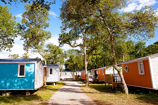 Mobil-homes coloridos bajo los �rboles en el camping VAGUES OCEANES Boudigau en LABENNE OCEAN (40).