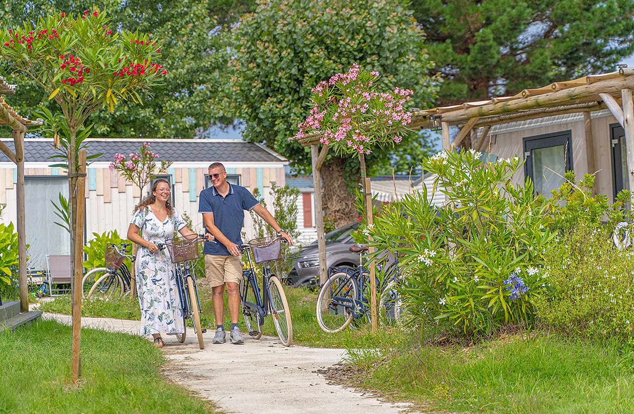 Bicicletas en el camping CLICOCHIC Brandais en Brem sur Mer (85).