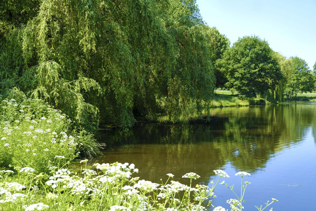 Bretche, Camping Pays de la Loire - 15