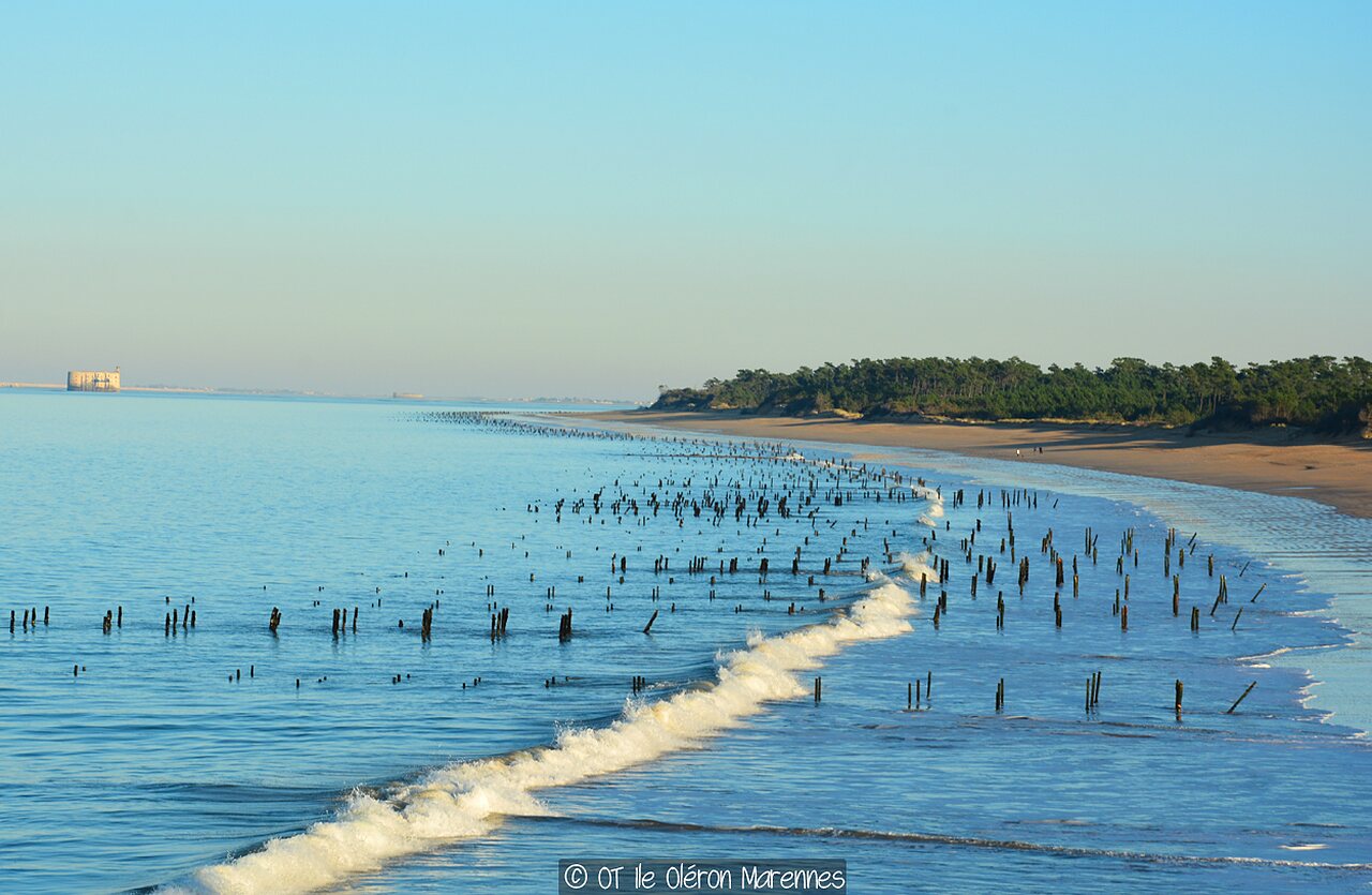 Cabanes d Ol�ron, Camping Poitou Charentes - 27