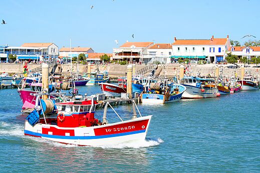 Puerto pesquero animado con barcos coloridos y casas tradicionales junto al mar.