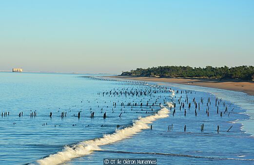 Playa de arena, estacas en el mar en el camping CLICOCHIC Cabanes d Oléron en ST GEORGES D'OLERON (17).