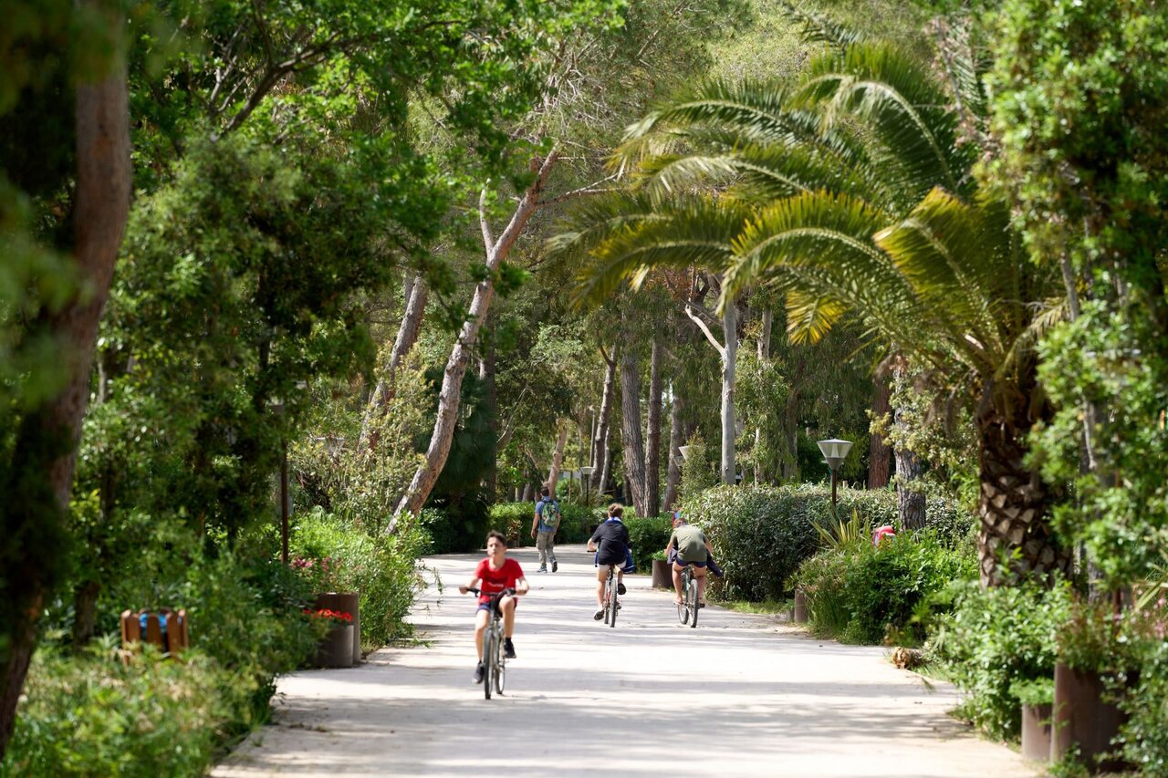 Ciclistas en camino arbolado CAPFUN Campo dei Fiori Rosignano Marittimo.