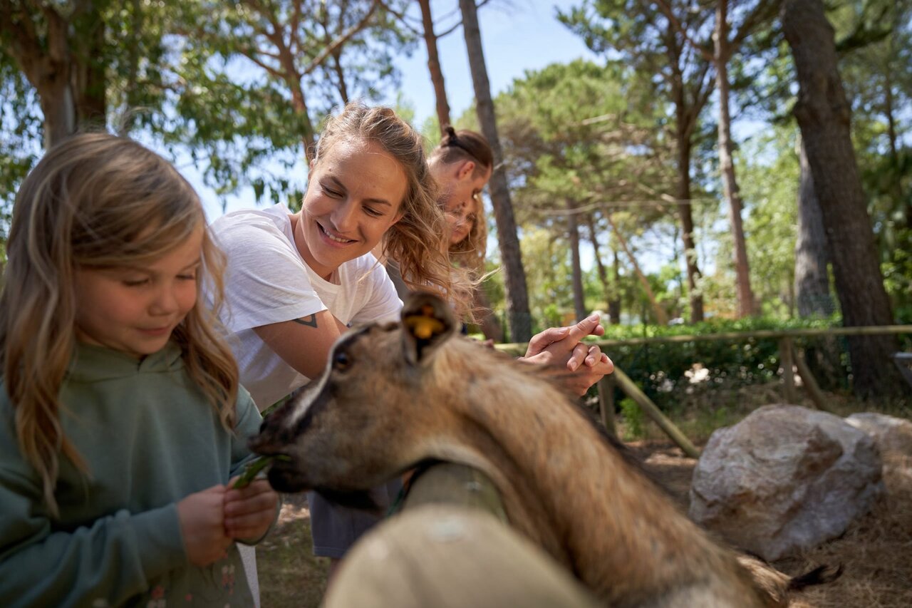 Ni�a y mujer alimentando una cabra, actividad familiar en el camping CAPFUN Campo dei Fiori.