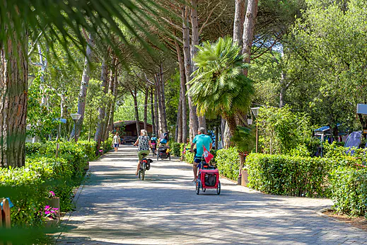 Camping Campo dei Fiori, Camping Toscane