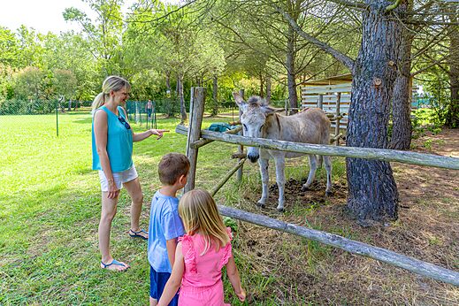 Burro y ni�os en el camping CAPFUN Campo dei Fiori en Rosignano Marittimo (57).