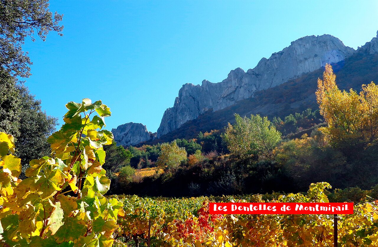 Dentelles de Montmirail, paisaje rocoso y vi�edos coloridos cerca de Vaison la Romaine.