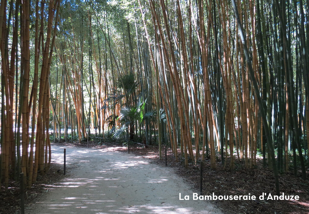 Chteau de Boisson, Camping Languedoc Roussillon - 15