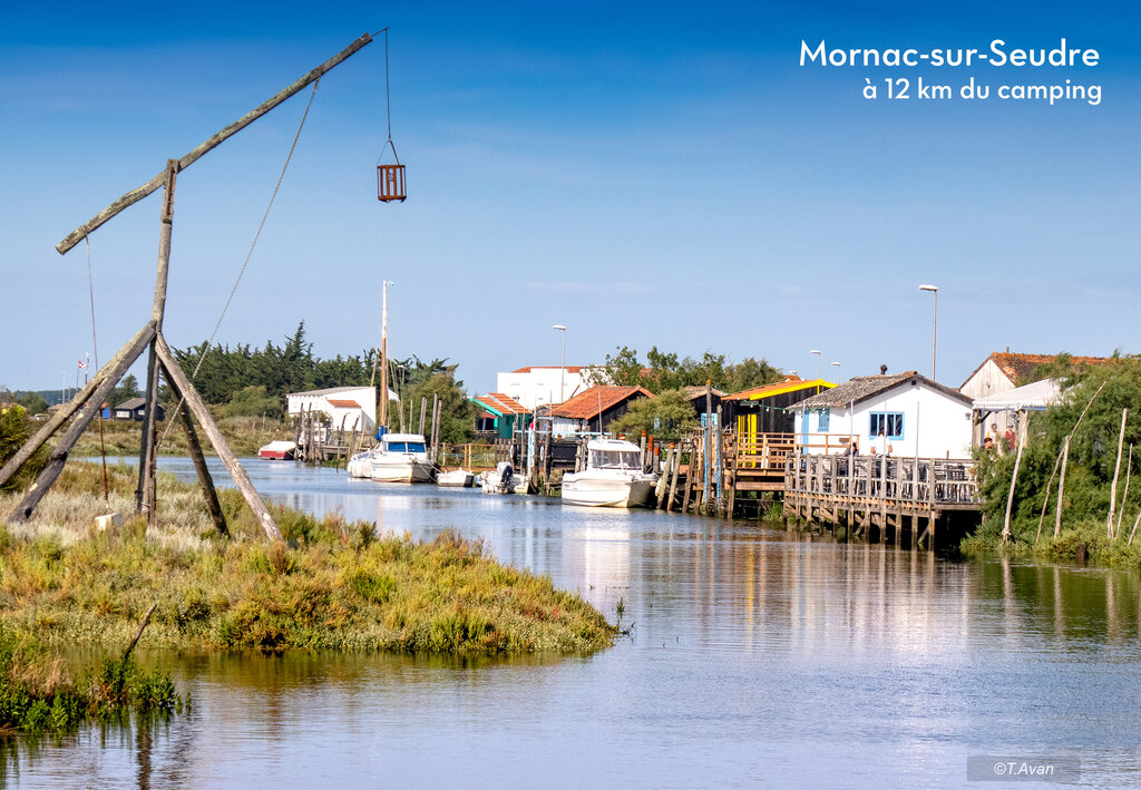 Les Chnes, Camping Poitou Charentes - 10