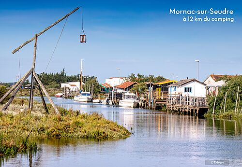 Pintoresco pueblo de Mornac-sur-Seudre con canal, barcos y cabañas ostrícolas en Charente-Maritime.