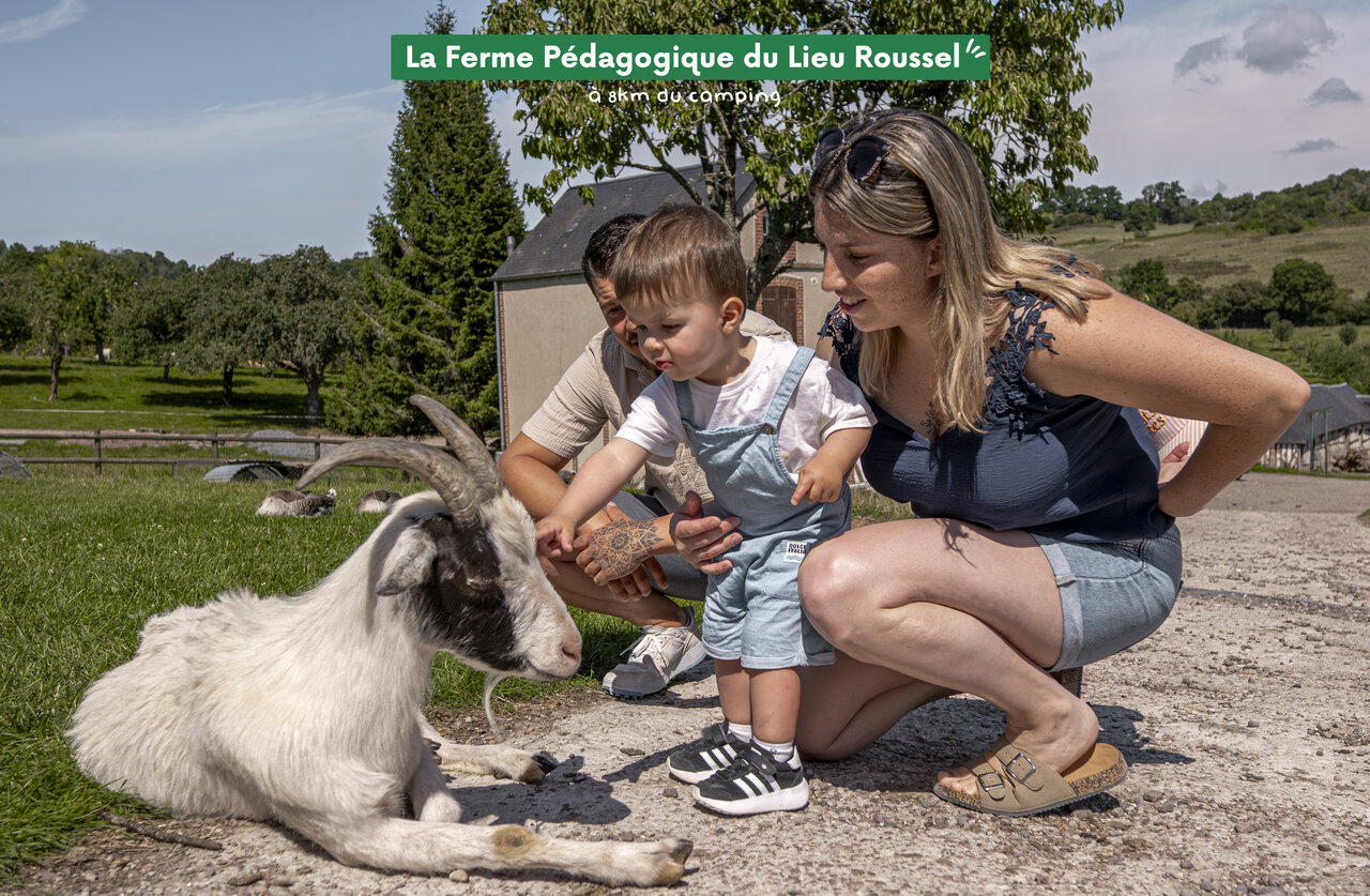 Familia acariciando cabra en Granja Pedag�gica Lieu Roussel, Normand�a.