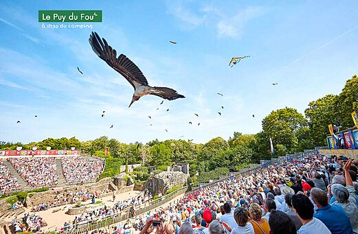 Espectáculo de aves rapaces en vuelo en Puy du Fou, parque histórico en Vendée.