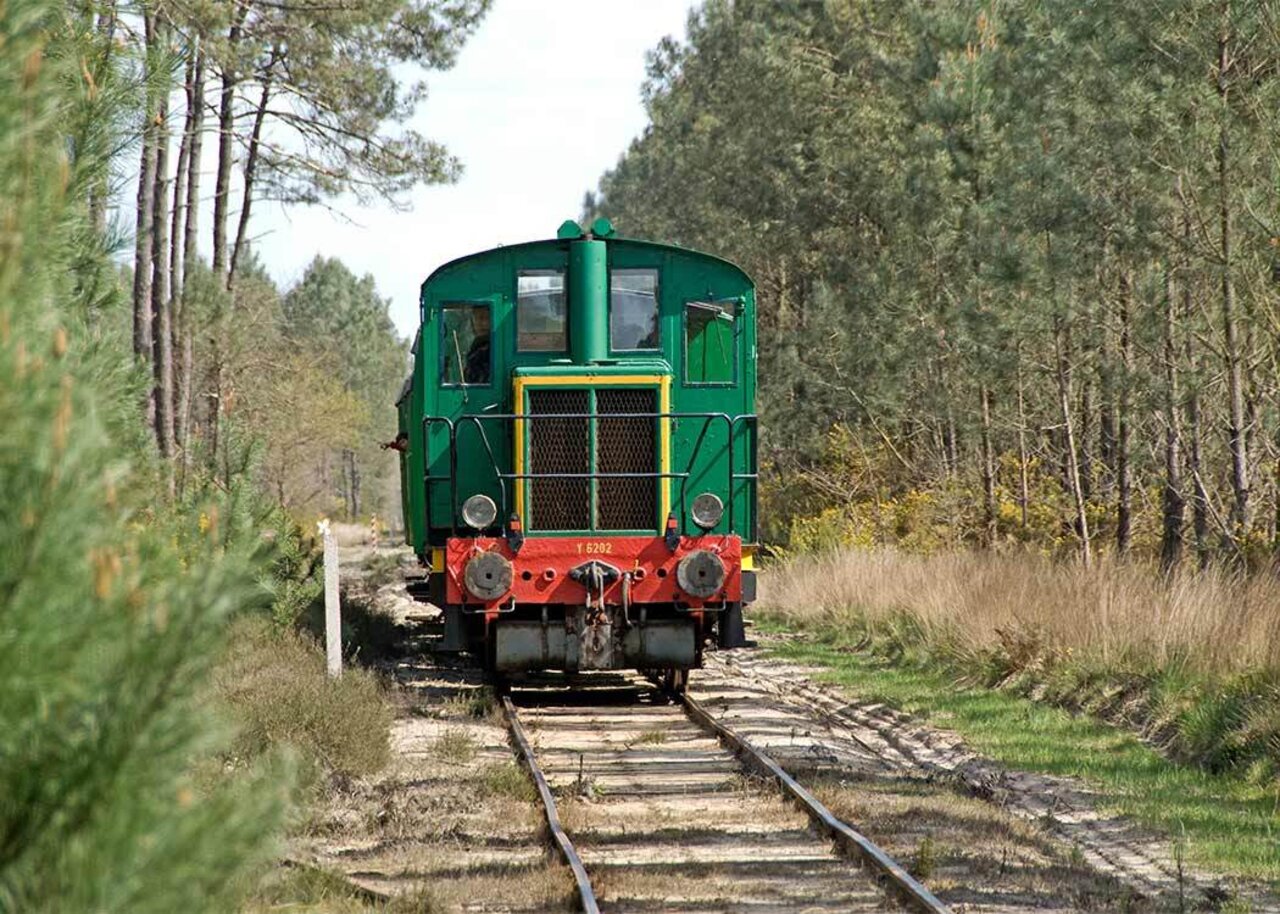 Tren verde en bosque en camping VAGUES OCEANES Les Cigales, Moliets-Plage.