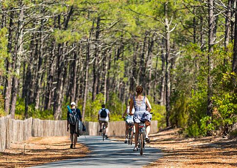 Carril bici en bosque de pinos en el camping VAGUES OCEANES Les Cigales.