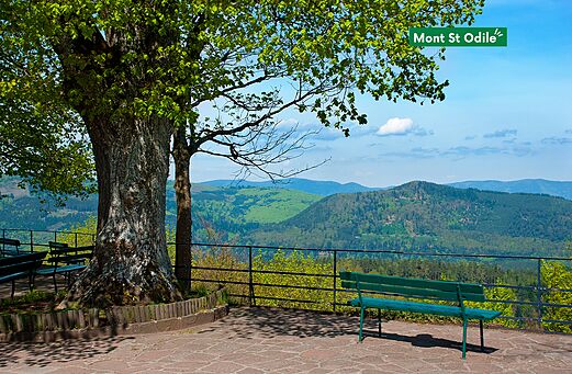 Mont Sainte-Odile, vista panor�mica de los Vosgos desde el sitio hist�rico.