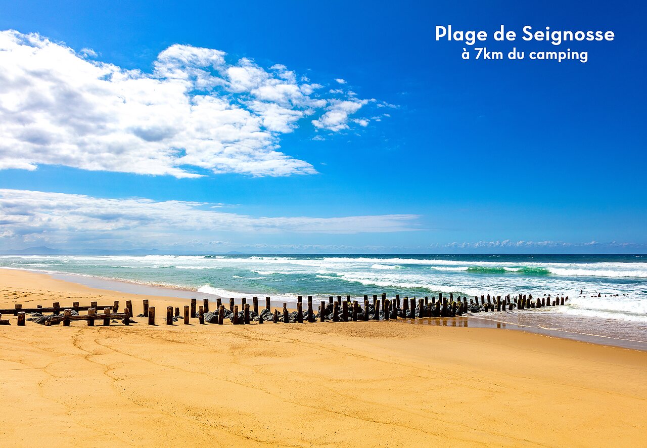 Playa de Seignosse, arena fina, oc�ano Atl�ntico y rompeolas de madera, Landas.