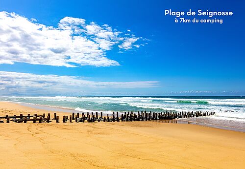 Playa de Seignosse, arena fina y océano Atlántico, lugar para visitar cerca del camping.