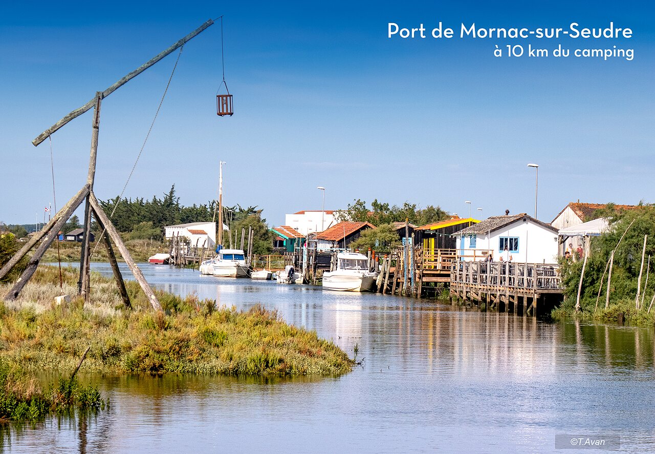 Puerto de Mornac-sur-Seudre, pueblo t�pico con caba�as ostr�colas y barcos.