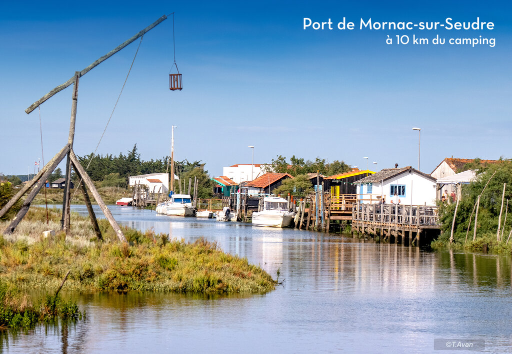 Coquelicots Mini Villas, Camping Poitou Charentes - 11