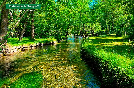 R�o Sorgue, agua cristalina y exuberante vegetaci�n en el camping CLICOCHIC Couteli�re en Lagnes (84).