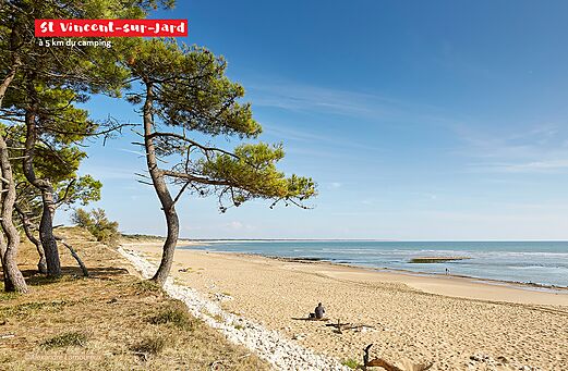 Playa de arena fina y pinos marítimos en Saint-Vincent-sur-Jard, Vendée.